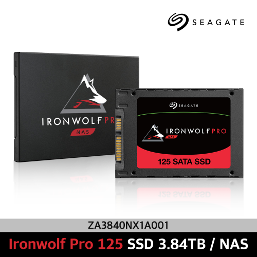 씨게이트 아이언울프 프로 125 ZA3840NX1A001 Seagate IronWolf Pro 125 SSD 3.84TB NAS 보증기간5년