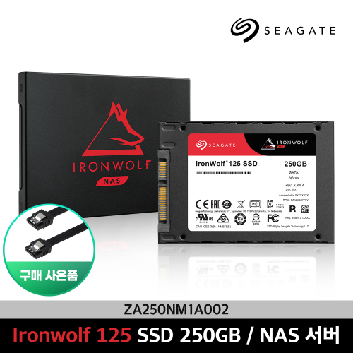 [예약판매] 씨게이트 아이언울프 125 SSD NAS 250GB (ZA250NM1A002)