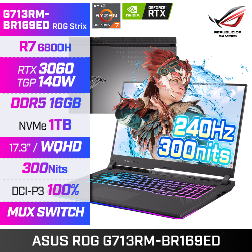 ASUS ROG G713RM-BR169ED 게이밍노트북 R7-6800H/RTX3060/램16G/SSD 1T/WQHD/워런티 2년